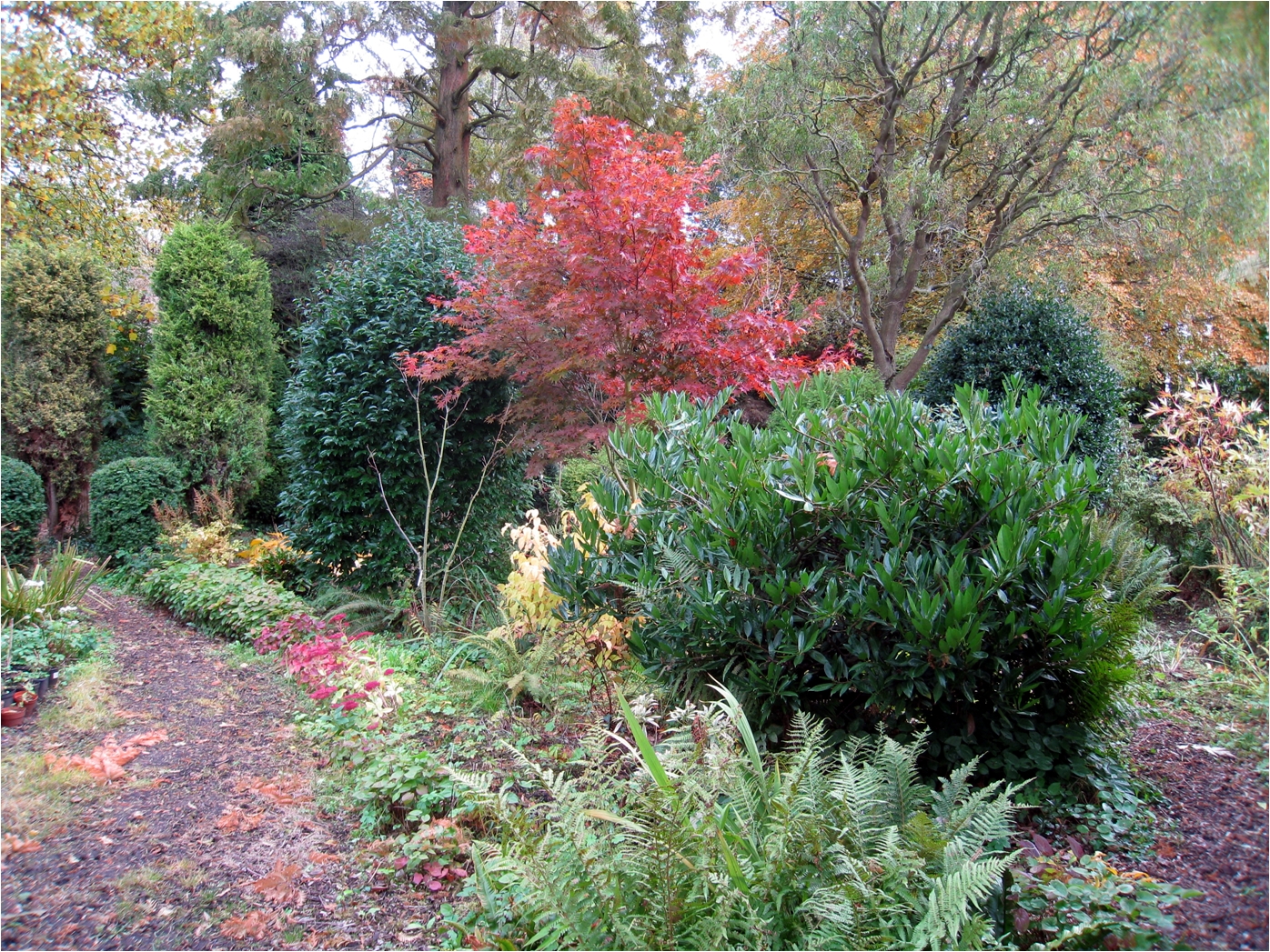 King's Arms Garden, Ampthill, Bedfordshire, MK45 2PP National Garden